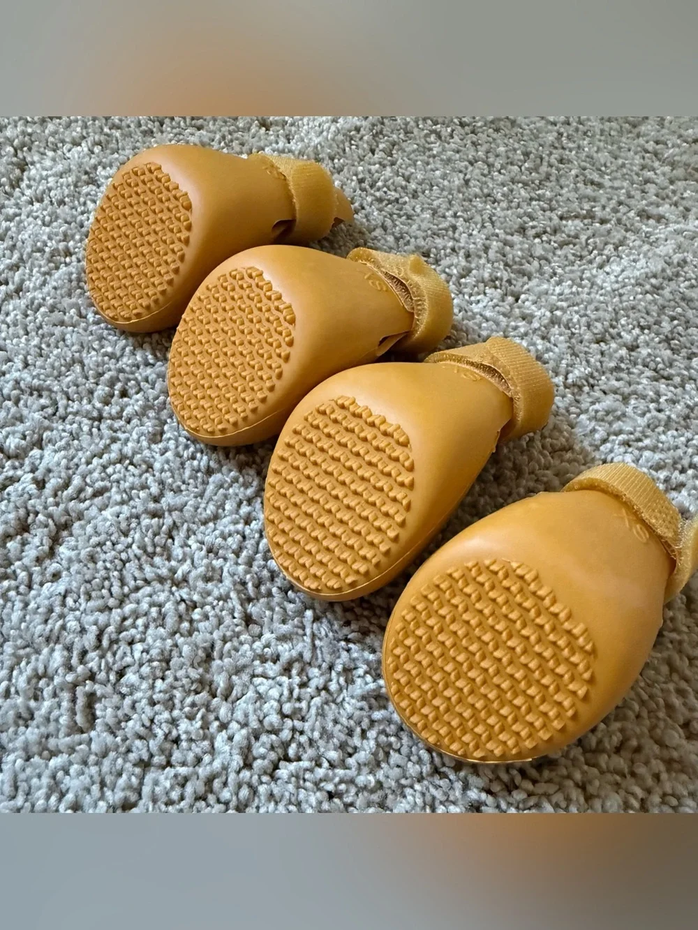 Wagwear wagwellies by